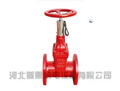 信號(hào)彈性座封閘閥